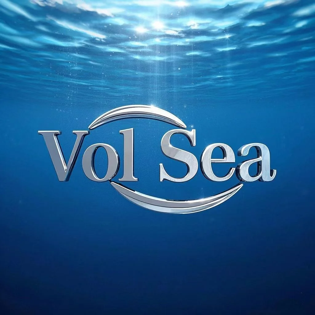 Guangzhou Vol Sea technology co.,LTD
